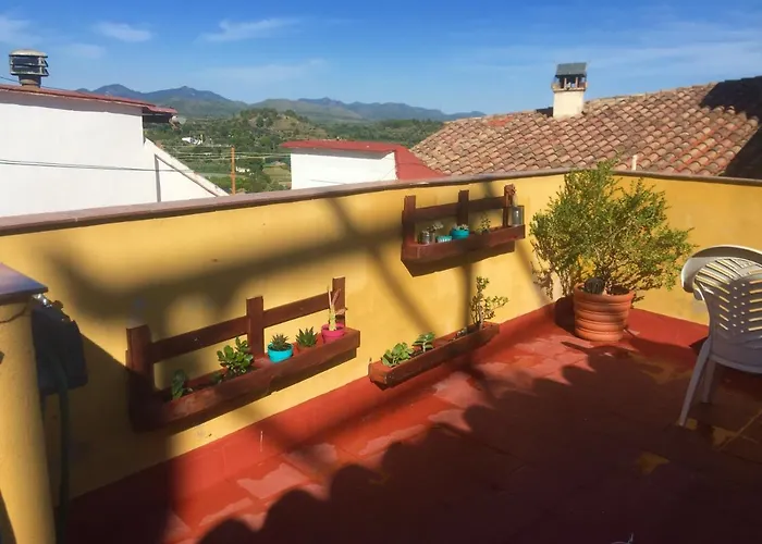 Cuatro Rosas * Jérica